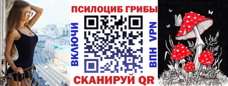 Псилоцибиновые грибы мухоморы kraken рабочий сайт Кисловодск