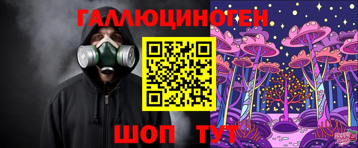 Псилоцибиновые грибы Psilocybine cubensis Кисловодск
