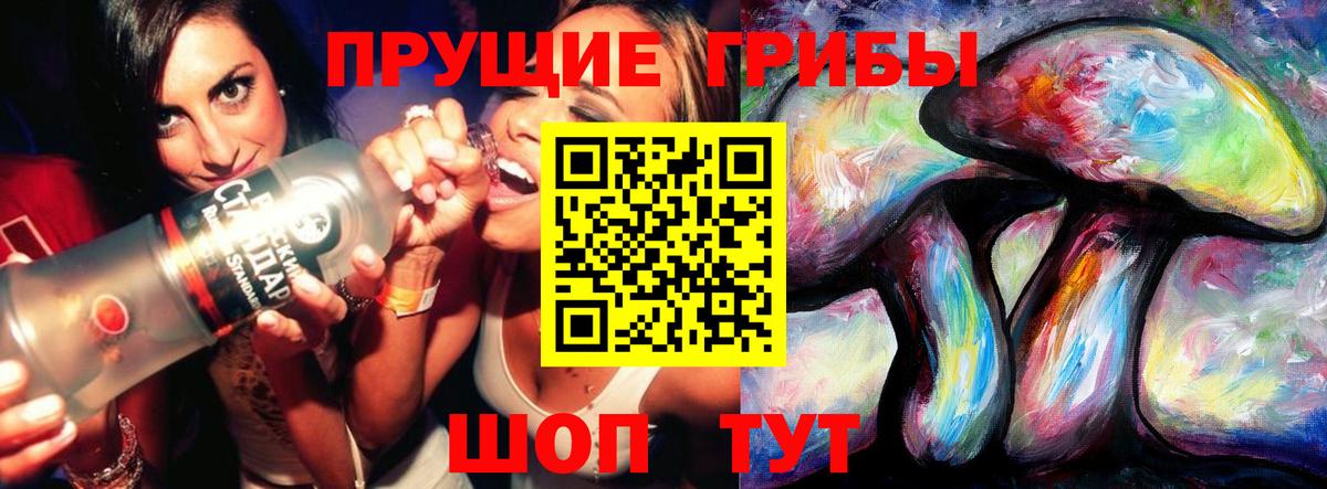 Псилоцибиновые грибы Magic Shrooms  Псилоцибиновые грибы GOLDEN TEACHER  Вход с VPN  Кисловодск 